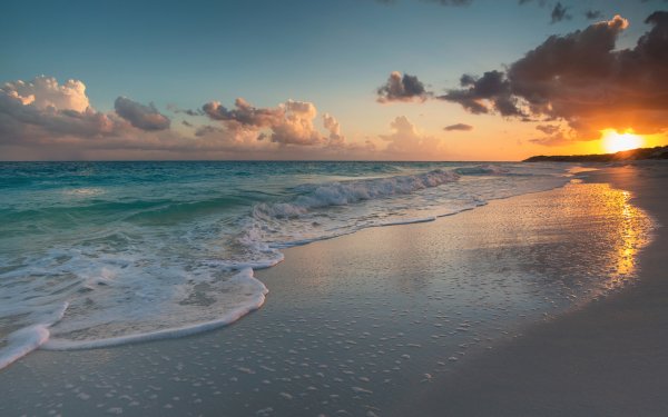 Earth Beach Water Ocean Sunset HD Wallpaper | Background Image