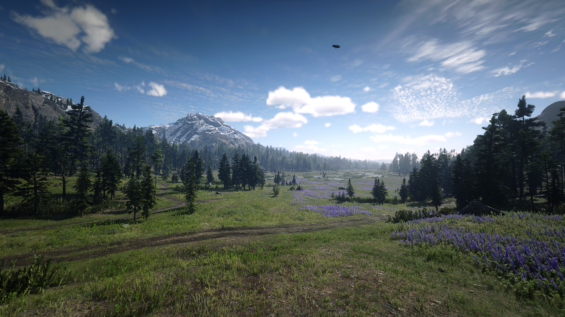 HD PC desktop wallpaper from Red Dead Redemption 2 showcasing a vast landscape with grassy fields, wildflowers, pine trees, and mountains under a partly cloudy sky.