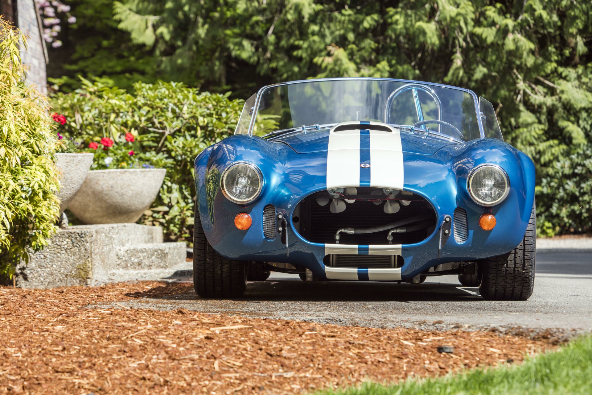 Front view of blue Shelby Cobra 427 with white racing stripes on a sunlit driveway, framed by greenery — 4K Ultra HD PC desktop wallpaper and background.