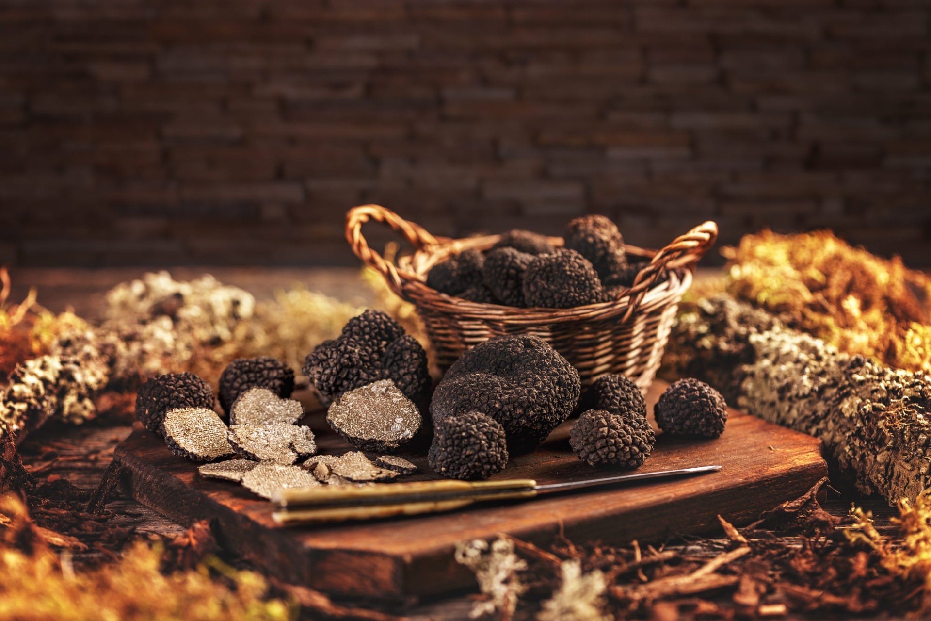 Download Truffle Food Mushroom HD Wallpaper