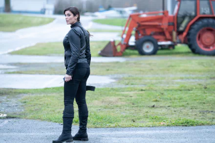 TV Show Turner & Hooch HD Desktop Wallpaper | Background Image