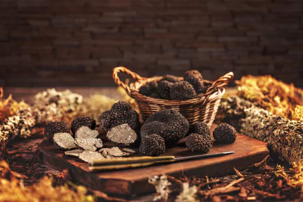 truffle food mushroom HD Desktop Wallpaper | Background Image