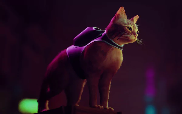 HD desktop wallpaper of a cat from the video game Stray, standing on a ledge with a futuristic atmosphere in the background.