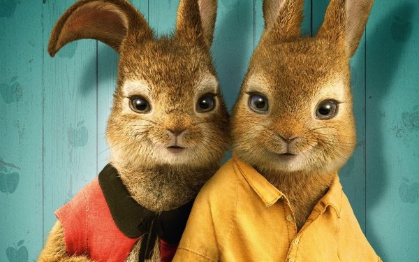 Movie Peter Rabbit 2: The Runaway HD Wallpaper | Background Image