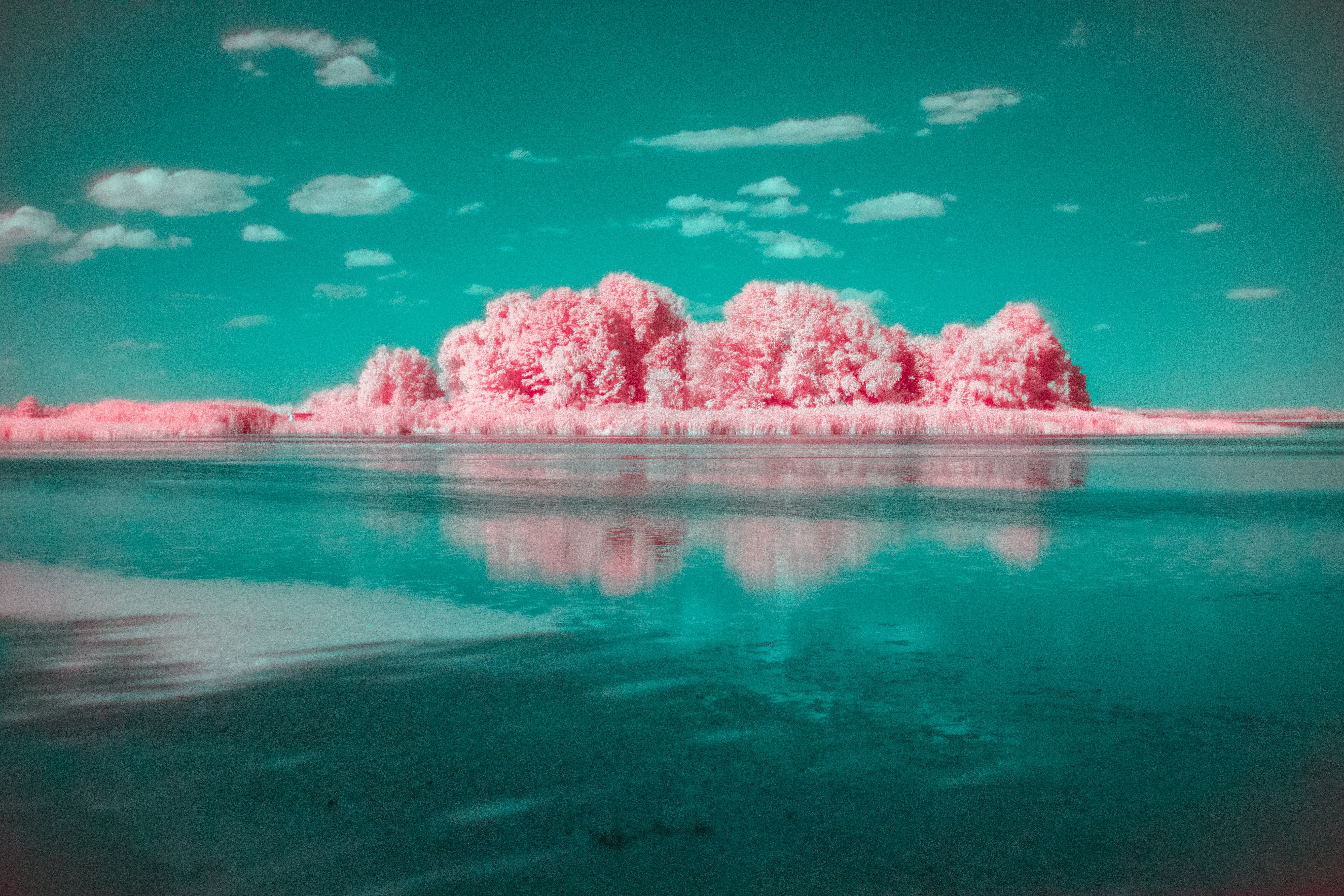 Photography Infrared 4k Ultra HD Wallpaper by Andrii Ganzevych