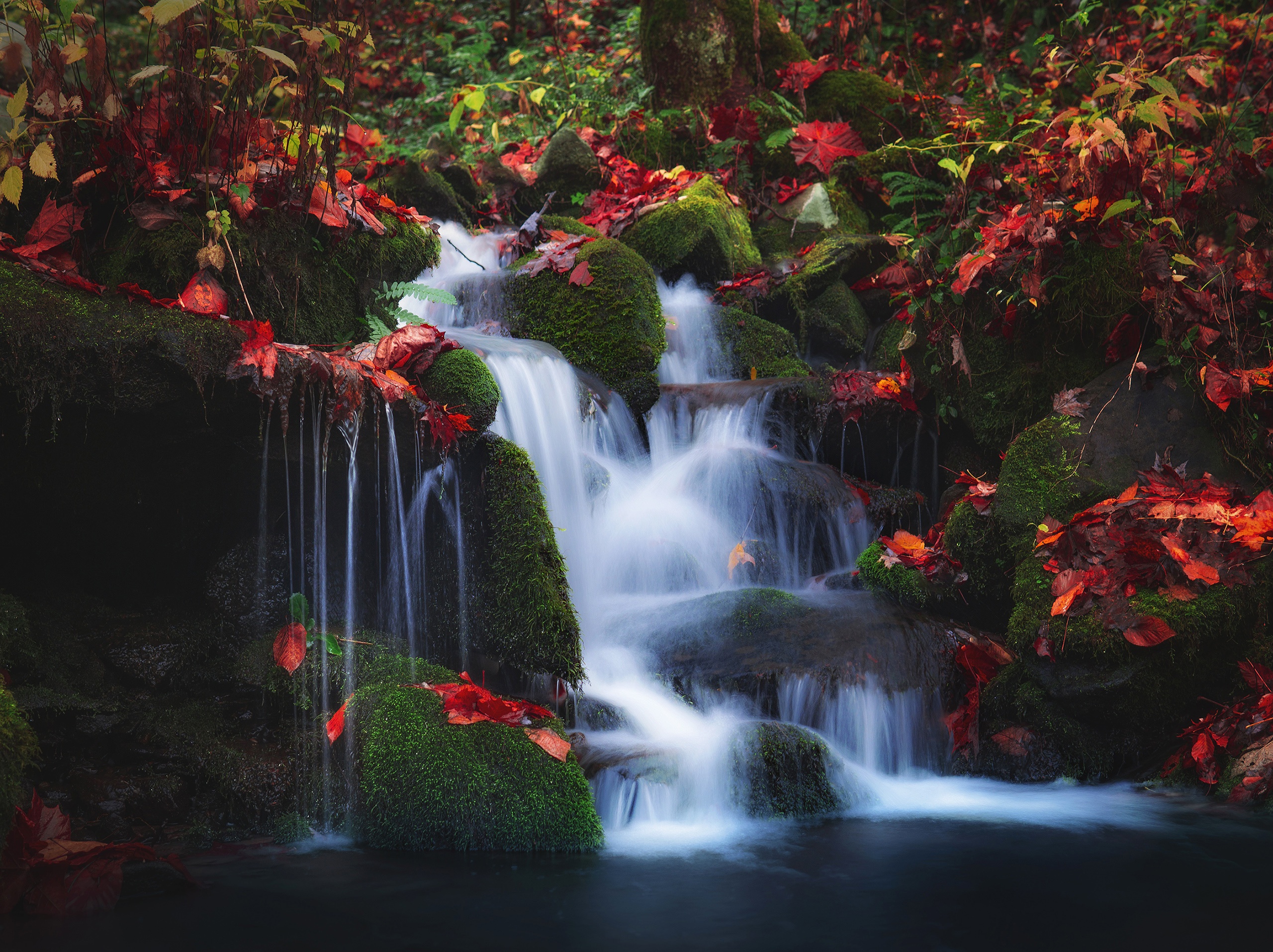 Amazing In Nature Beautiful Waterfall At Colorful Autumn Forest In Fall  Season Stock Photo  Download Image Now  iStock