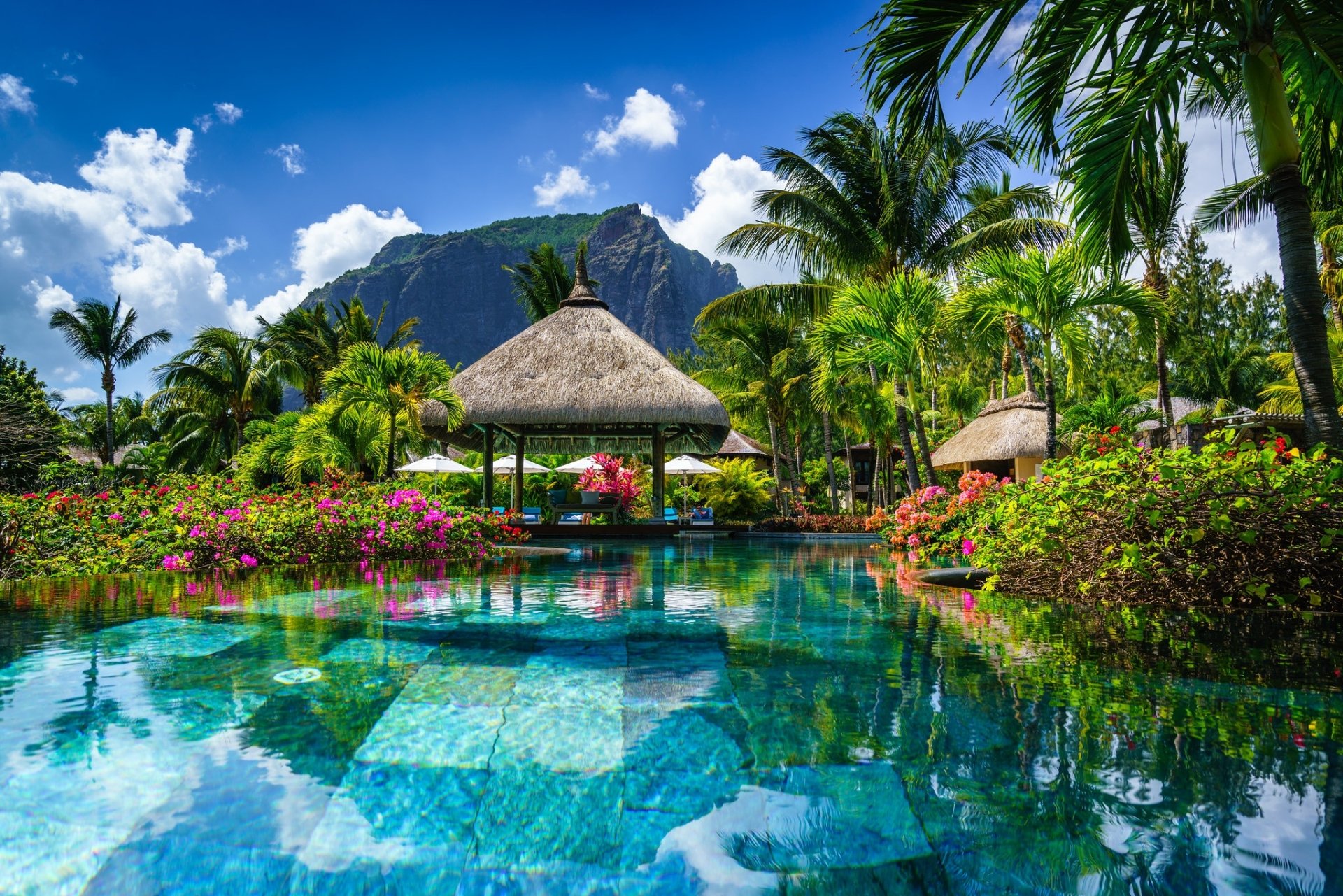 Download Tropical Pool Man Made Resort HD Wallpaper