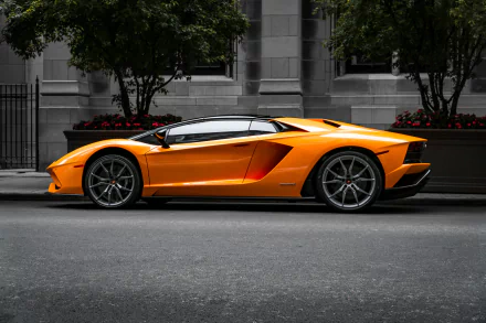 orange car vehicle Lamborghini Aventador S HD Desktop Wallpaper | Background Image