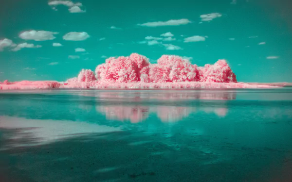 photography infrared HD Desktop Wallpaper | Background Image