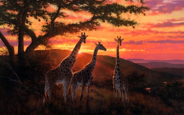 Artistic Painting Giraffe HD Wallpaper | Background Image