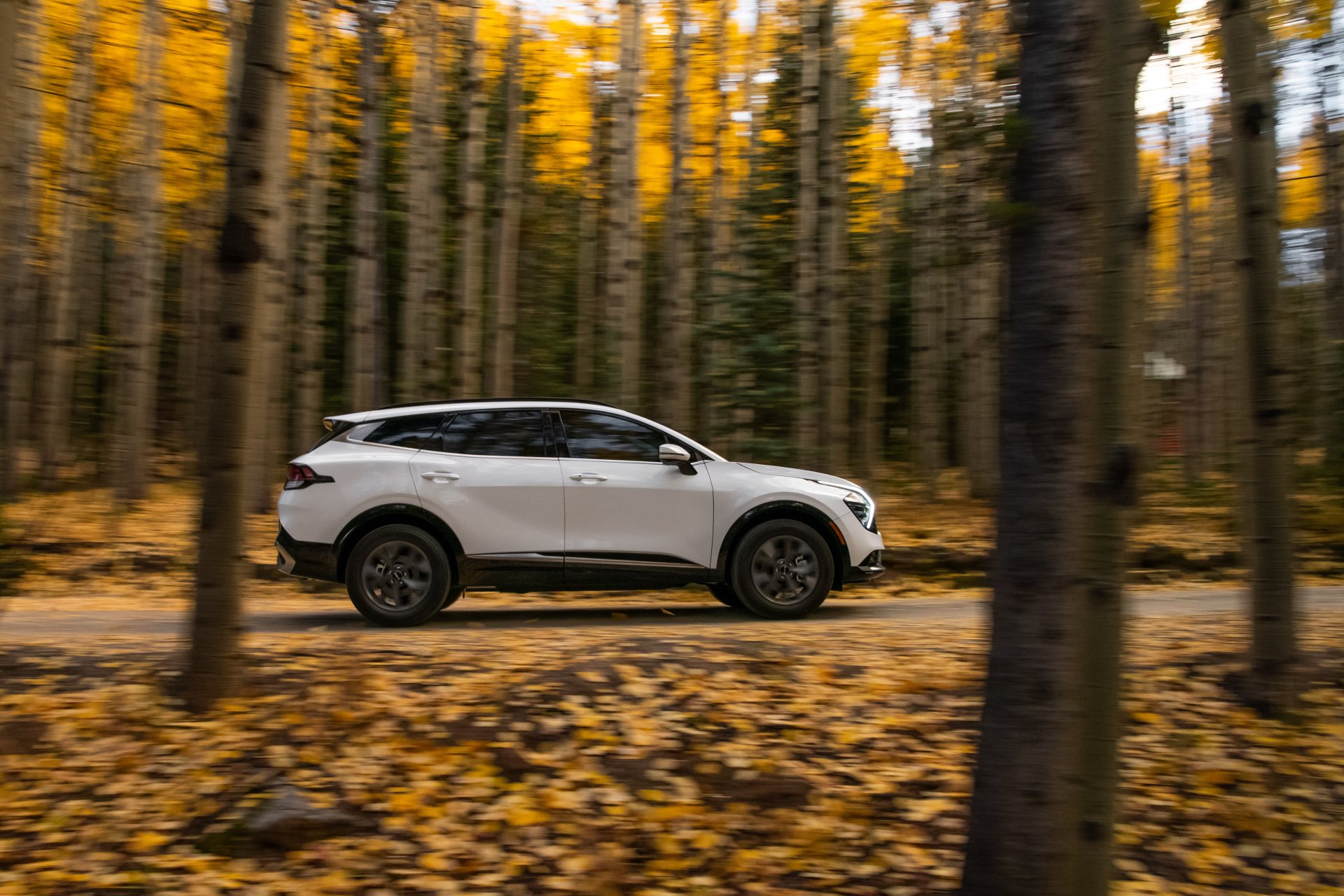 Download SUV Vehicle Kia Sportage SX 4k Ultra HD Wallpaper