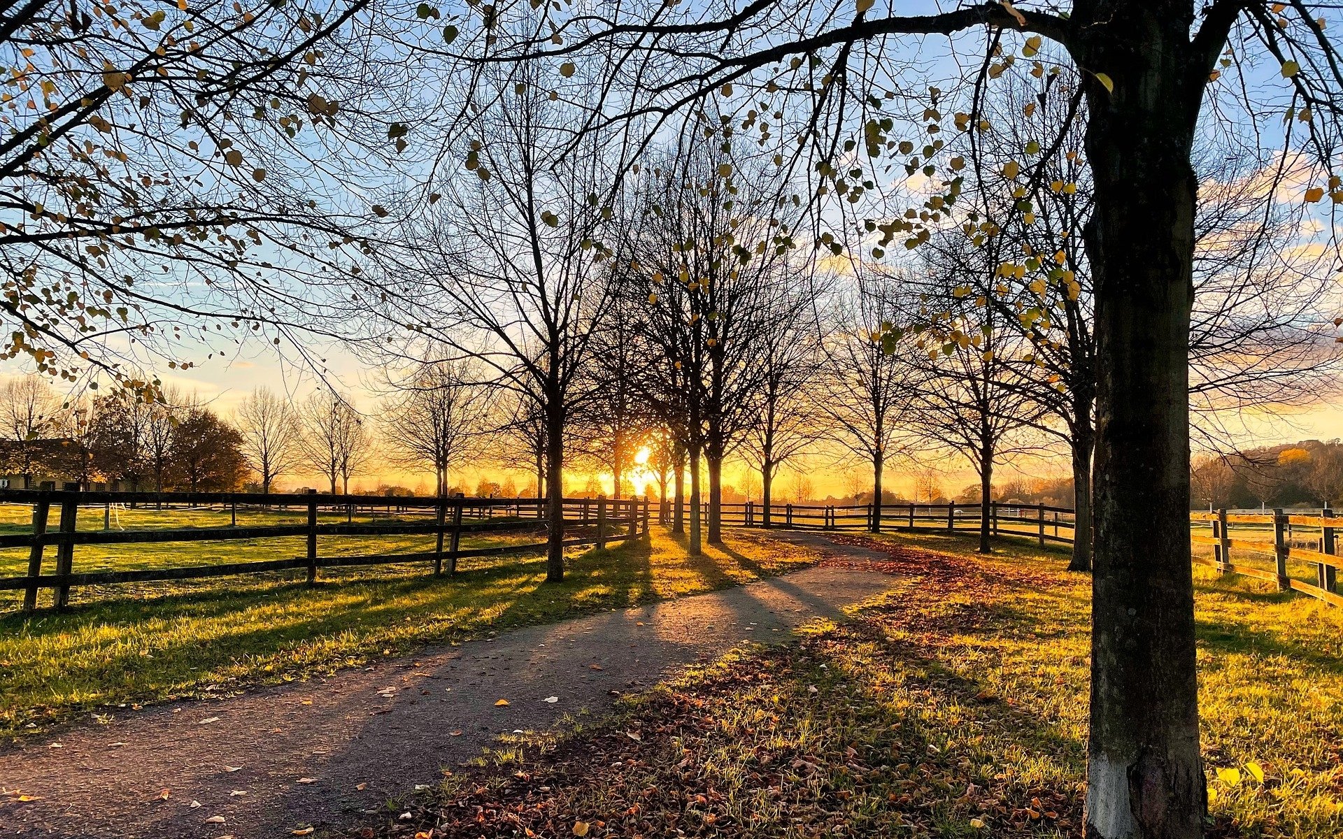 HD desktop wallpaper featuring a park at sunset with a tree-lined path, long shadows, and a wooden fence under a colorful sky.