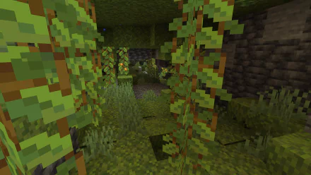  A 1.18 Lush Cave