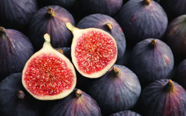 fruit food fig HD Desktop Wallpaper | Background Image