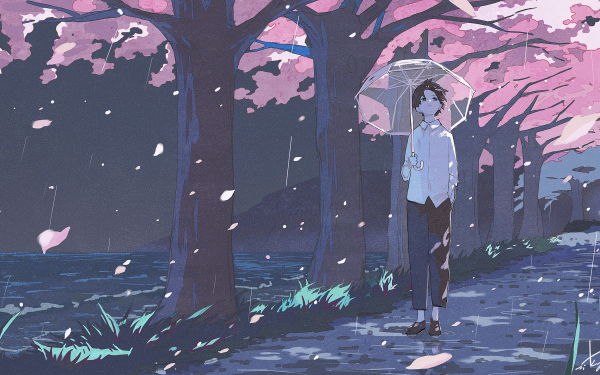 Anime Boy Umbrella Tree-Lined HD Wallpaper | Background Image