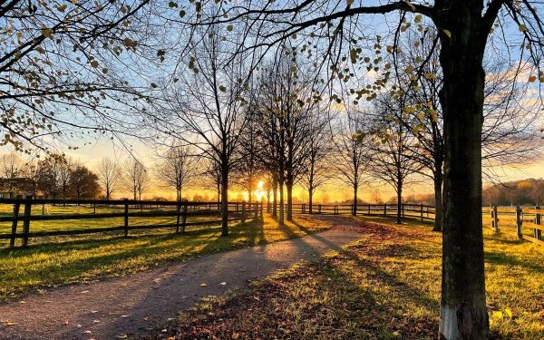 Photography Park Shadow Fence Sunset HD Wallpaper | Background Image