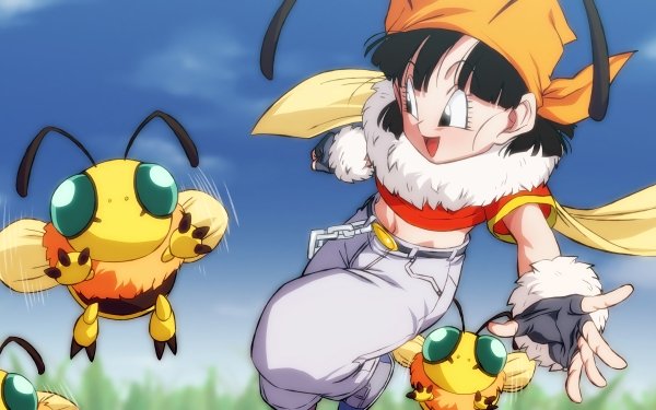 Anime Dragon Ball GT Dragon Ball Pan Bee HD Wallpaper | Background Image