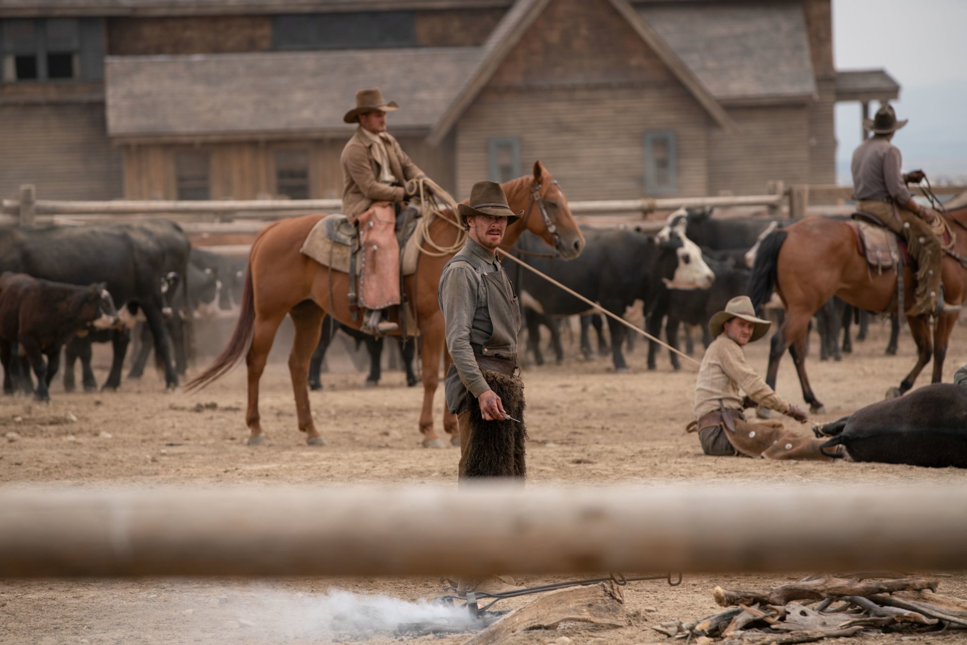 Download Benedict Cumberbatch Movie The Power Of The Dog HD Wallpaper