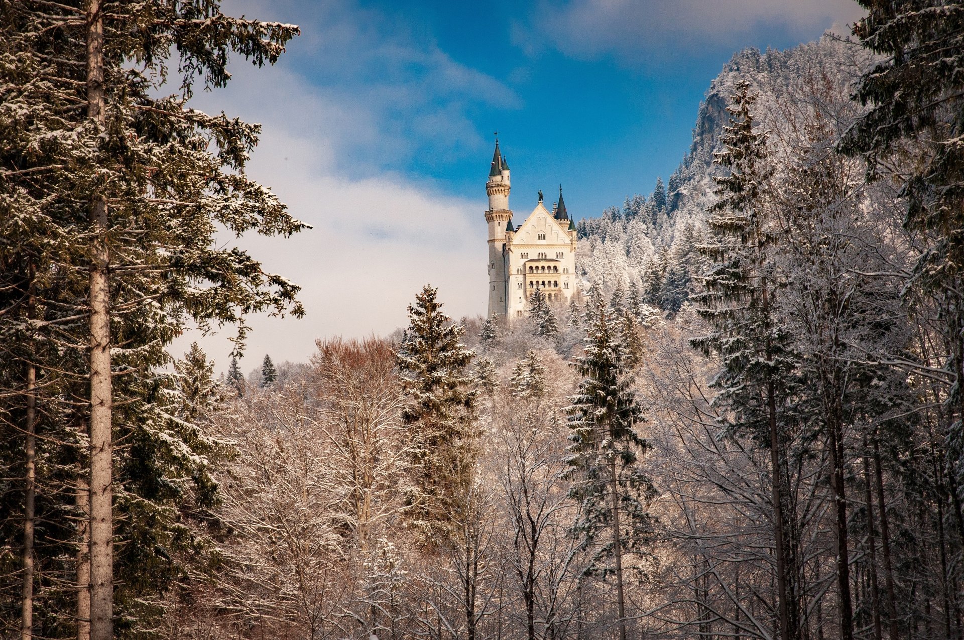 Download Bavaria Germany Man Made Neuschwanstein Castle 4k Ultra HD Wallpaper