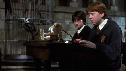  The Broken Wand