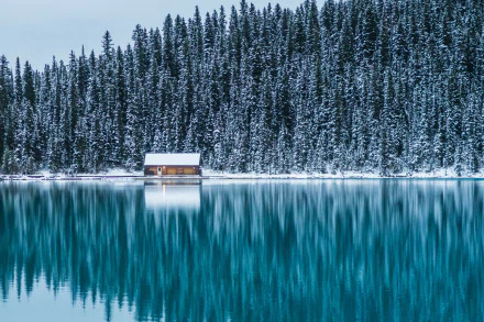 A serene winter scene of Lake Louise with a small cabin by the shore, surrounded by snow-covered pine trees, captured in stunning 4K Ultra HD resolution.