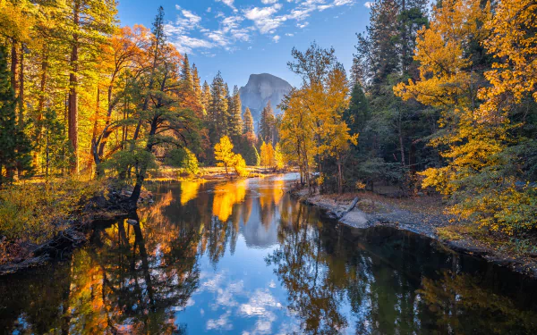 A vibrant fall scene in Yosemite National Park with colorful trees reflecting on a calm river under a bright blue sky, captured in 4K Ultra HD.