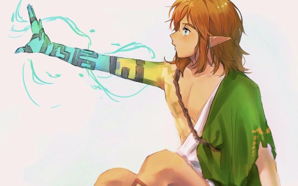 Video Game The Legend Of Zelda Zelda Link HD Wallpaper | Background Image