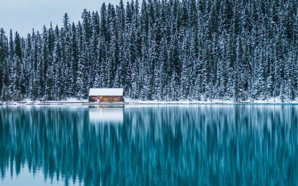 A serene winter scene of Lake Louise with a small cabin by the shore, surrounded by snow-covered pine trees, captured in stunning 4K Ultra HD resolution.