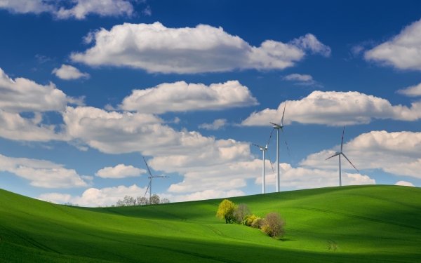 Man Made Wind Turbine Field HD Wallpaper | Background Image