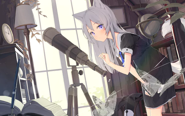 telescope animal ears Anime girl anime girl HD Desktop Wallpaper | Background Image