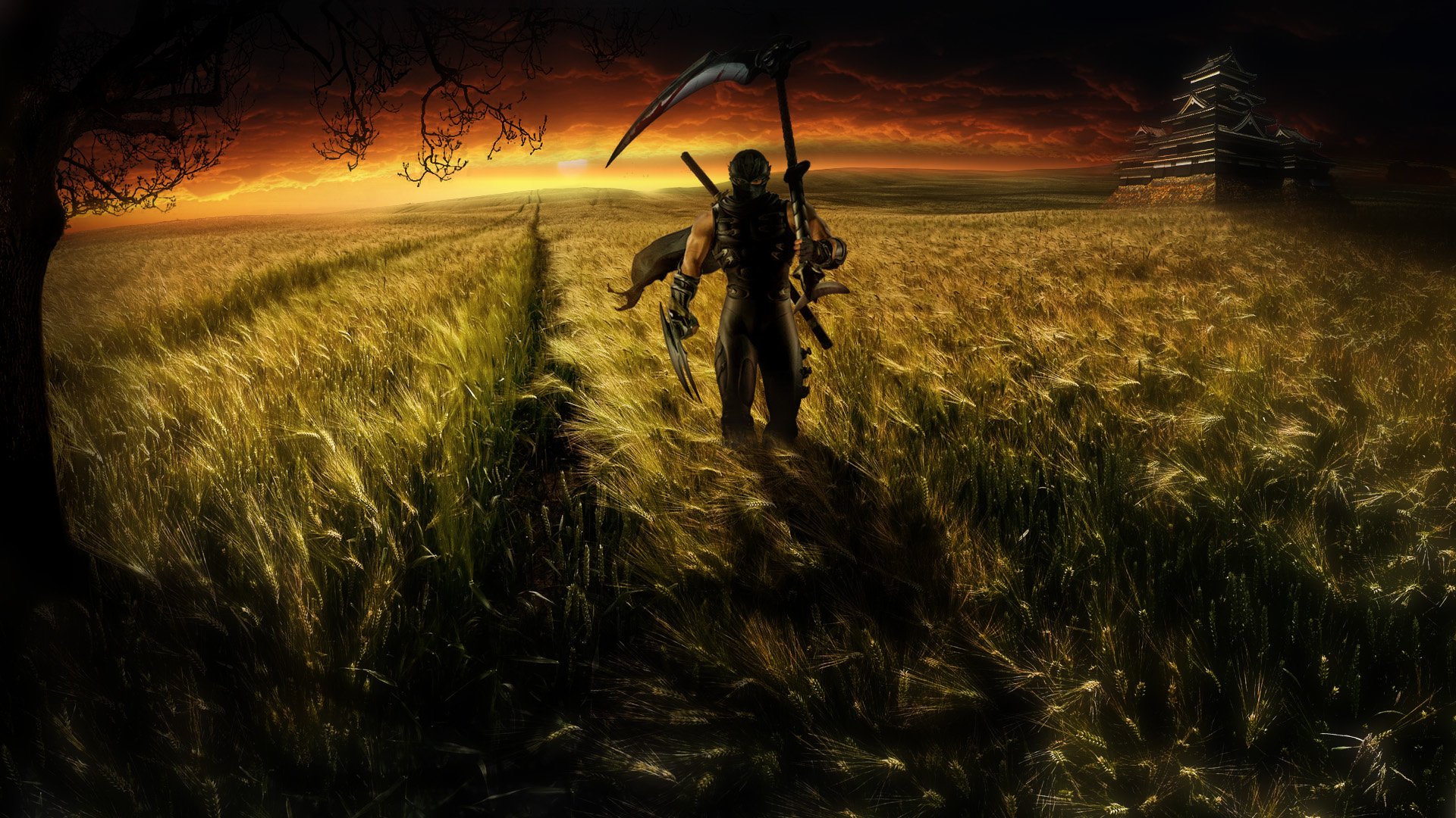 Download Video Game Ninja Gaiden HD Wallpaper