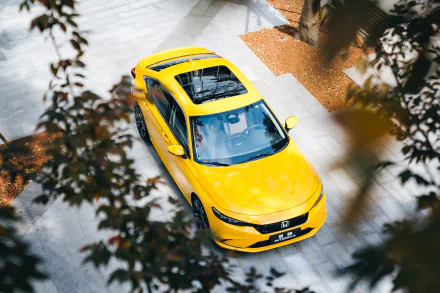 compact car vehicle Honda integra HD Desktop Wallpaper | Background Image