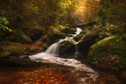 Czech Republic nature stream HD Desktop Wallpaper | Background Image