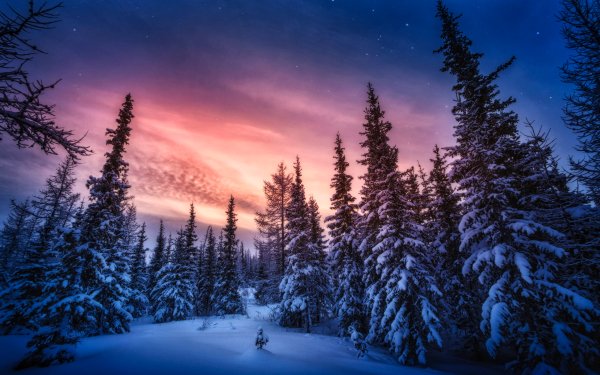 Earth Winter Snow Sunset HD Wallpaper | Background Image