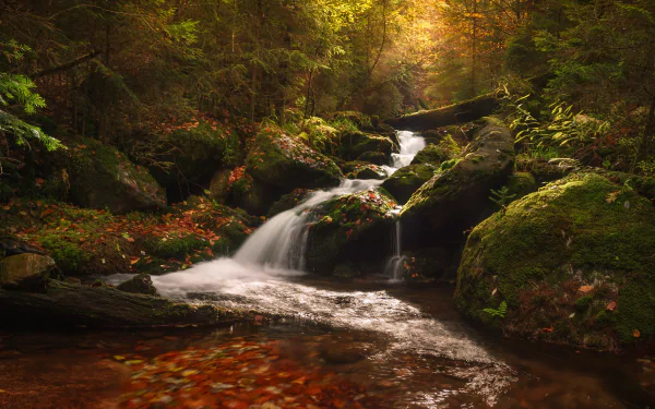 Czech Republic nature stream HD Desktop Wallpaper | Background Image