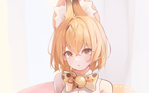 Anime Kemono Friends Serval Animal Ears HD Wallpaper | Background Image