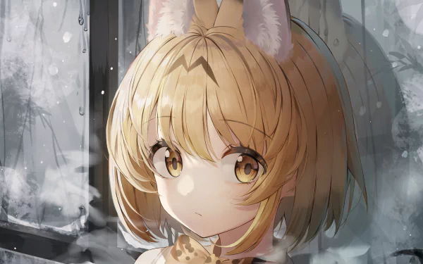 Serval (Kemono Friends) Anime Kemono Friends HD Desktop Wallpaper | Background Image