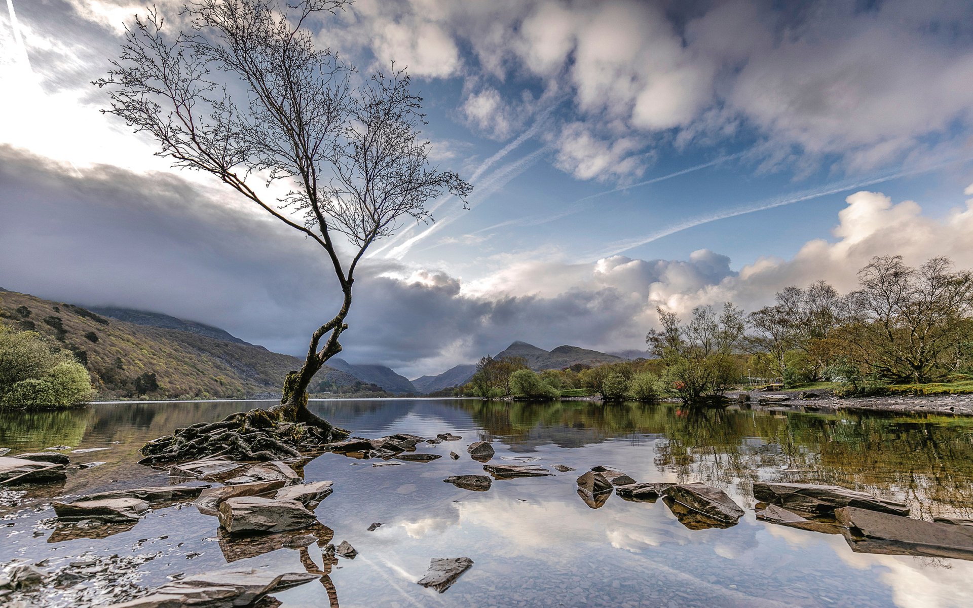 Download River Water Cloud Dead Tree United Kingdom Wales Nature Tree HD Wallpaper by Robert Bates