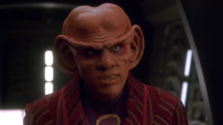  Quark