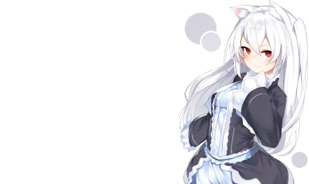 white hair Nora Cat Anime Virtual Youtuber HD Desktop Wallpaper | Background Image