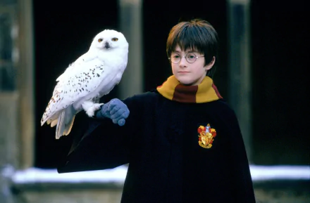  Hedwig's Flight