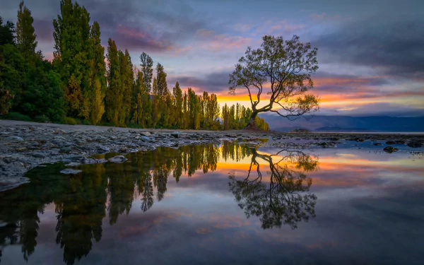 lake wanaka New Zealand nature HD Desktop Wallpaper | Background Image