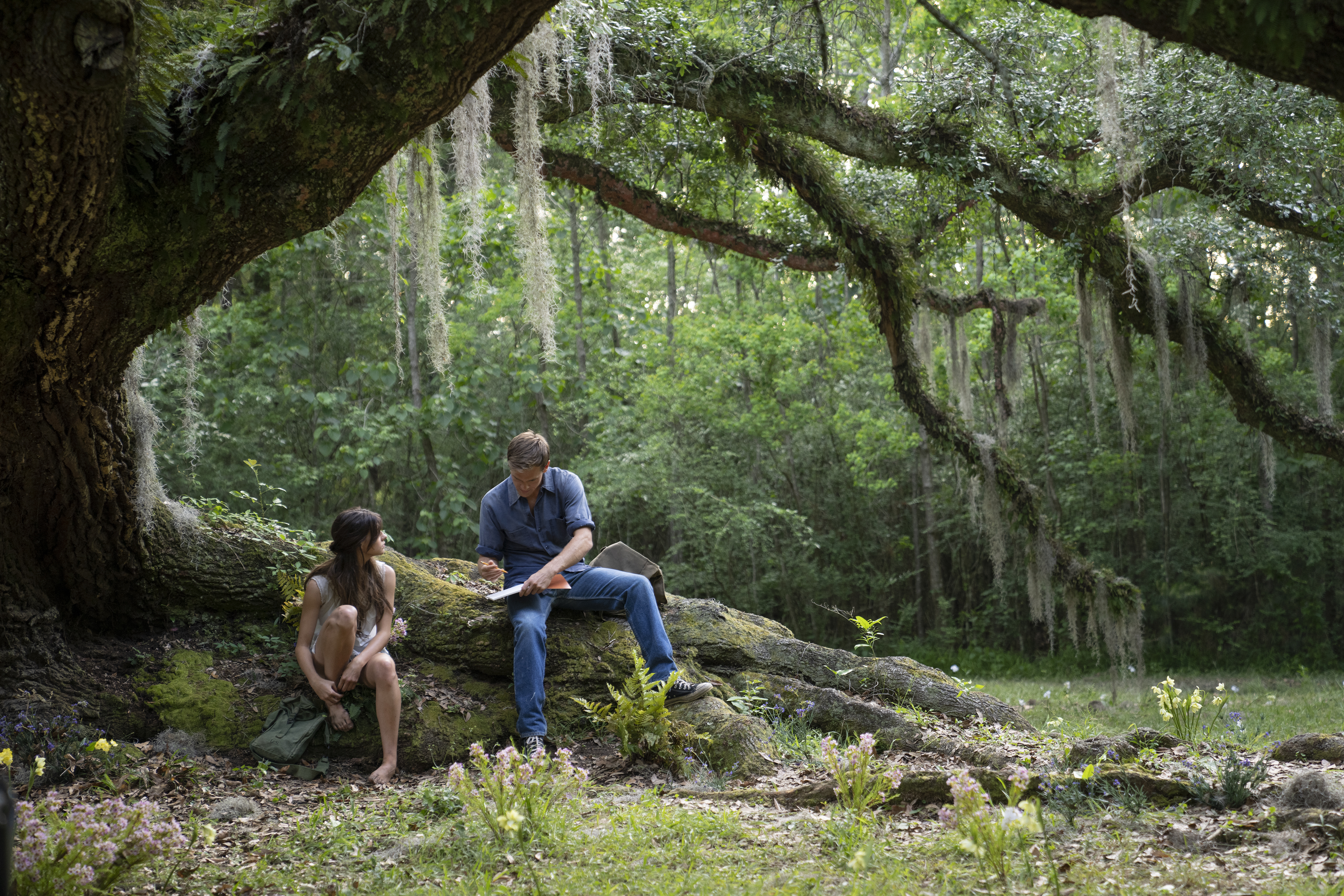 Movie Where the Crawdads Sing HD Wallpaper | Background Image