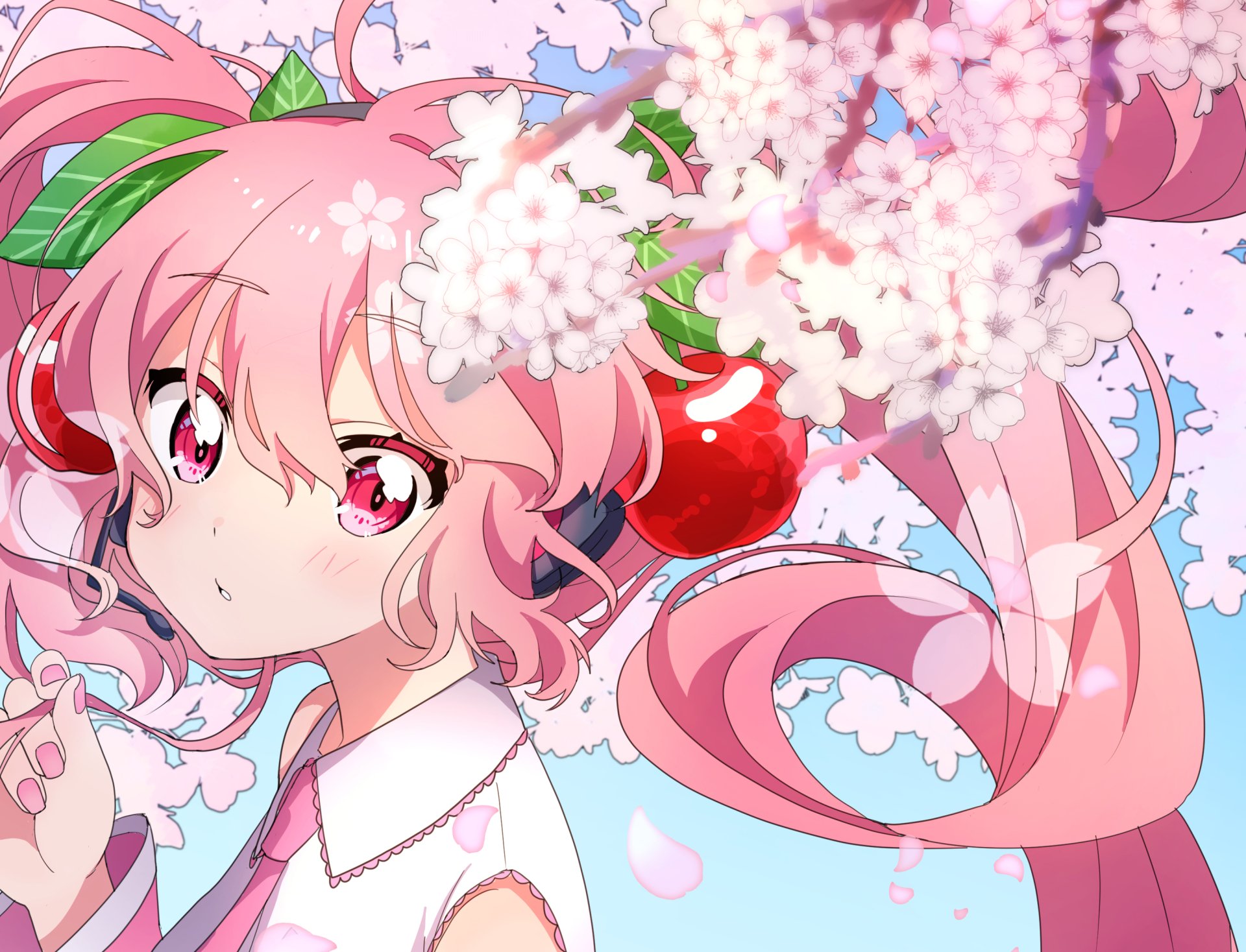 Download Sakura Miku Anime Vocaloid HD Wallpaper