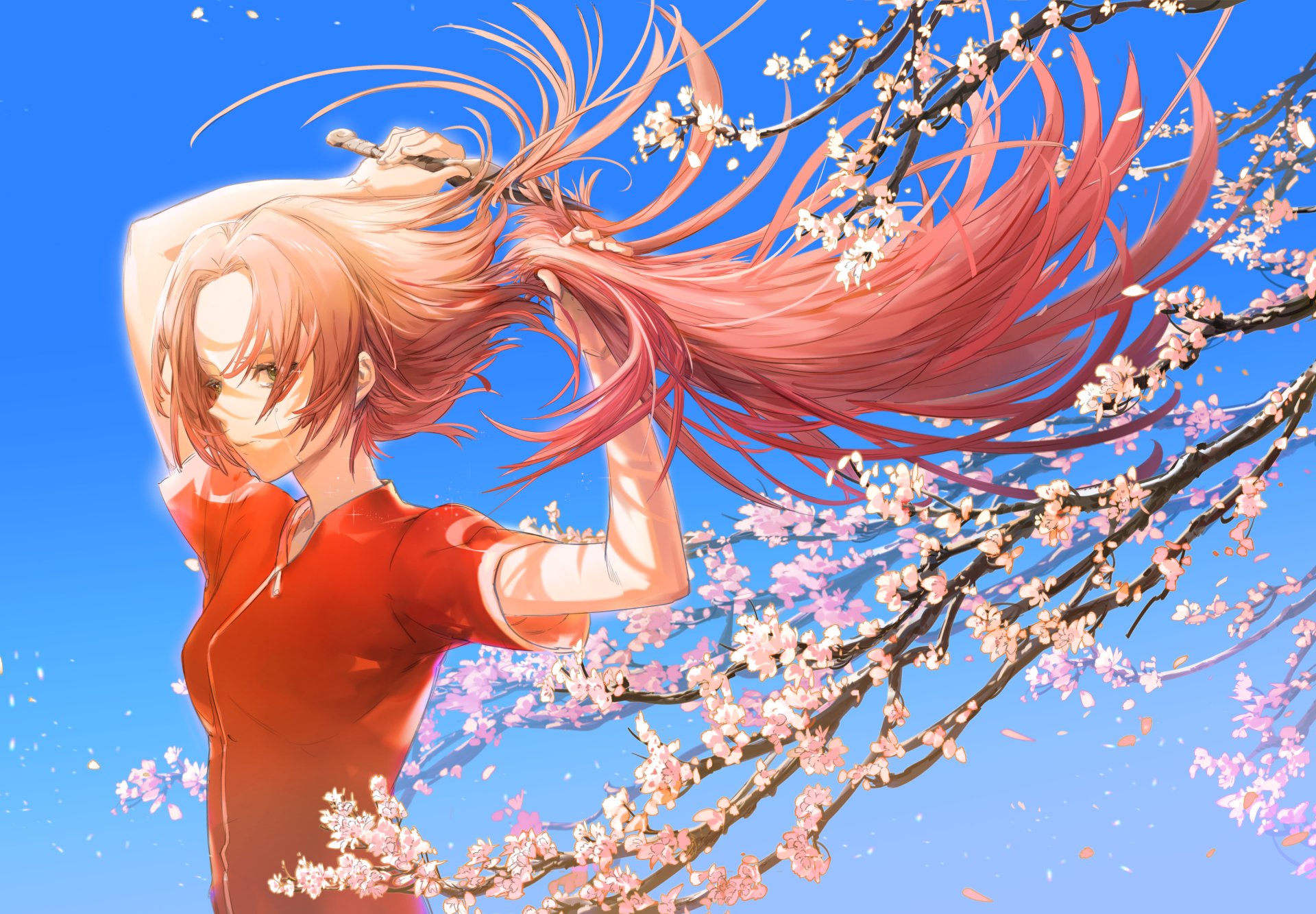 HD anime desktop wallpaper featuring Sakura Haruno from Naruto with flowing pink hair set against a bright blue sky and blooming cherry blossoms.