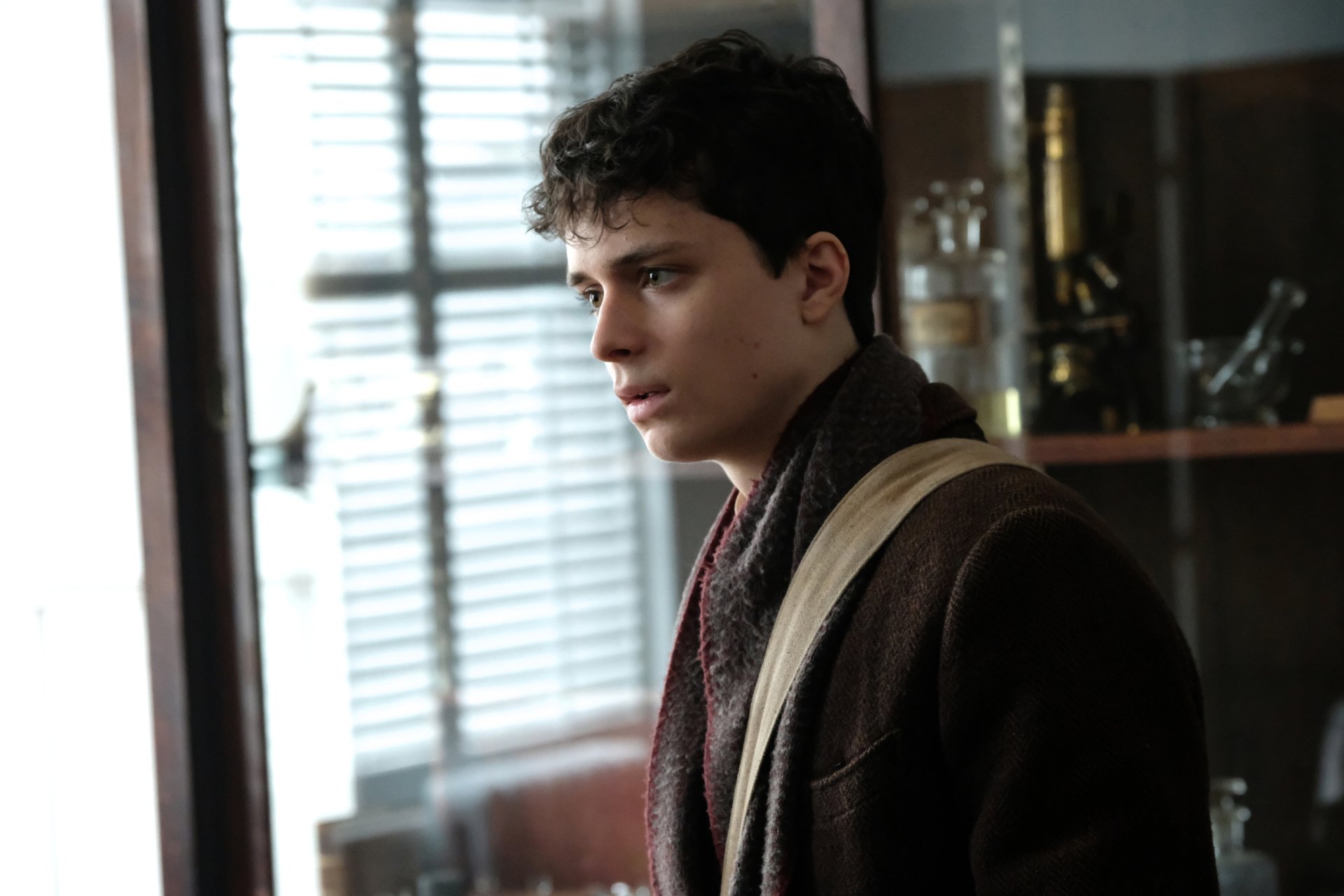 Download TV Show Anne With An E HD Wallpaper