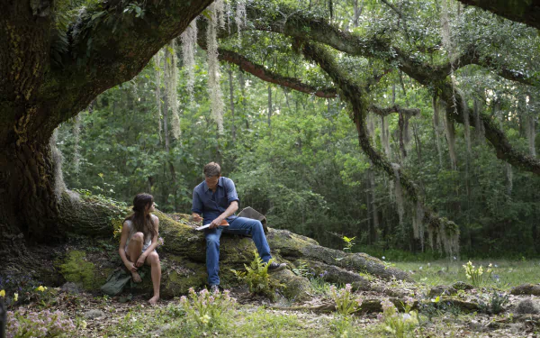 movie Where the Crawdads Sing HD Desktop Wallpaper | Background Image