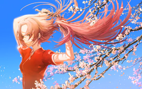 HD anime desktop wallpaper featuring Sakura Haruno from Naruto with flowing pink hair set against a bright blue sky and blooming cherry blossoms.