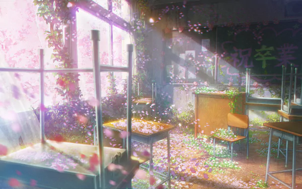 HD desktop wallpaper of an enchanting anime classroom filled with sunlight, lush greenery, and scattered flower petals.