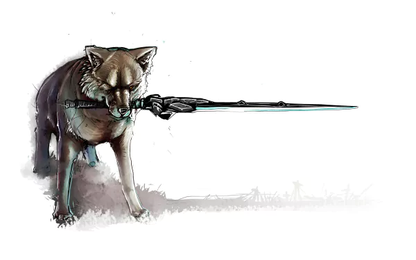  Great Grey Wolf Sif